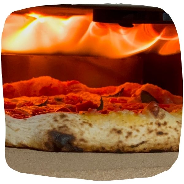 EZ Oven 40 Neo Plus Gás GLP Lenha - Imagem 9